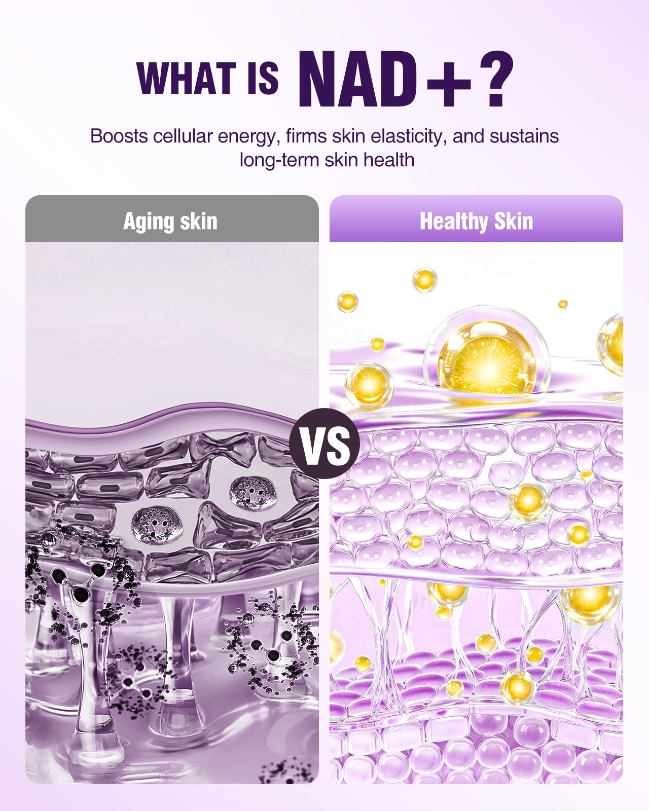 Biysber NAD+ Retinol Collagen Face Serum